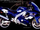 Yamaha YZF 600R Thundercat